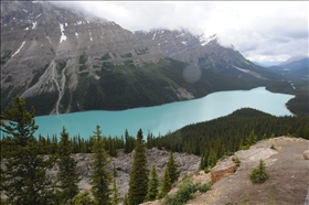 Peyto Lake